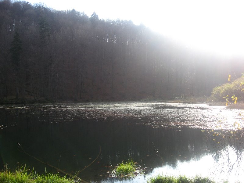 Obraz 059.jpg